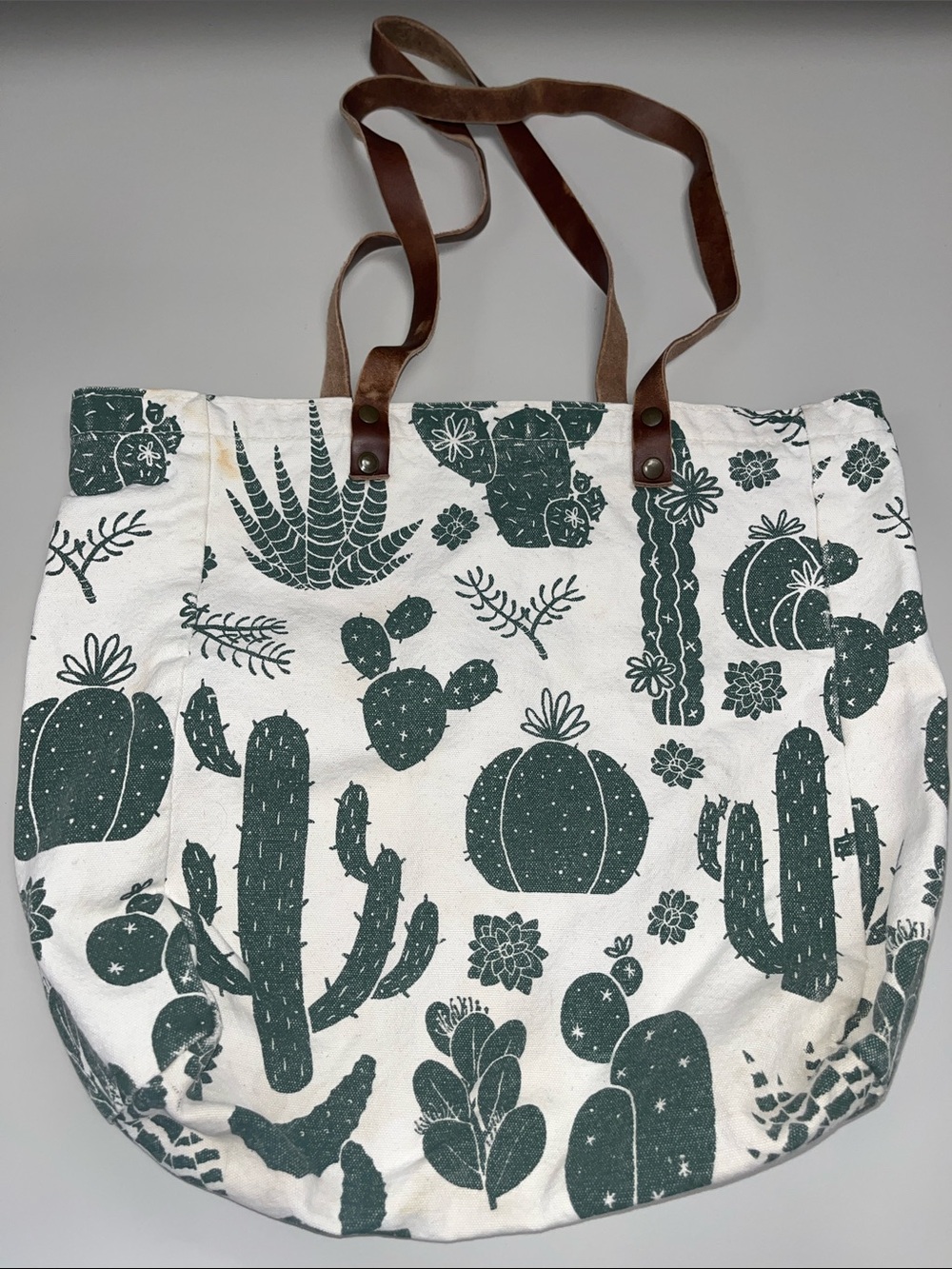 Seltzer Canvas Cactus Tote Bag with Brown Leather Straps
